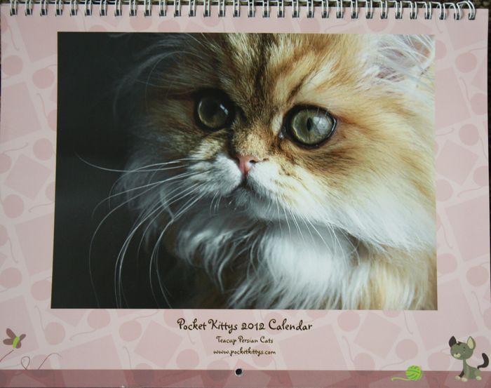 2012 Calendar front.jpg